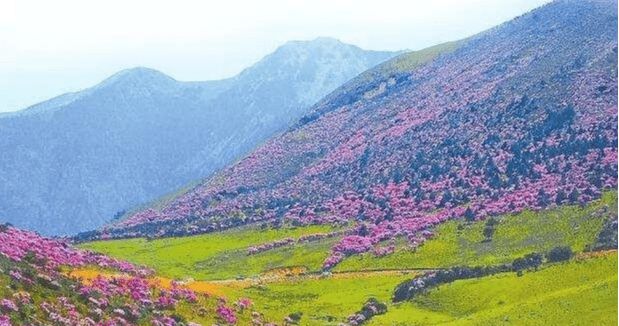 {老虎機}(凉山旅游宣传词) {老虎機}(凉山旅游宣传词)